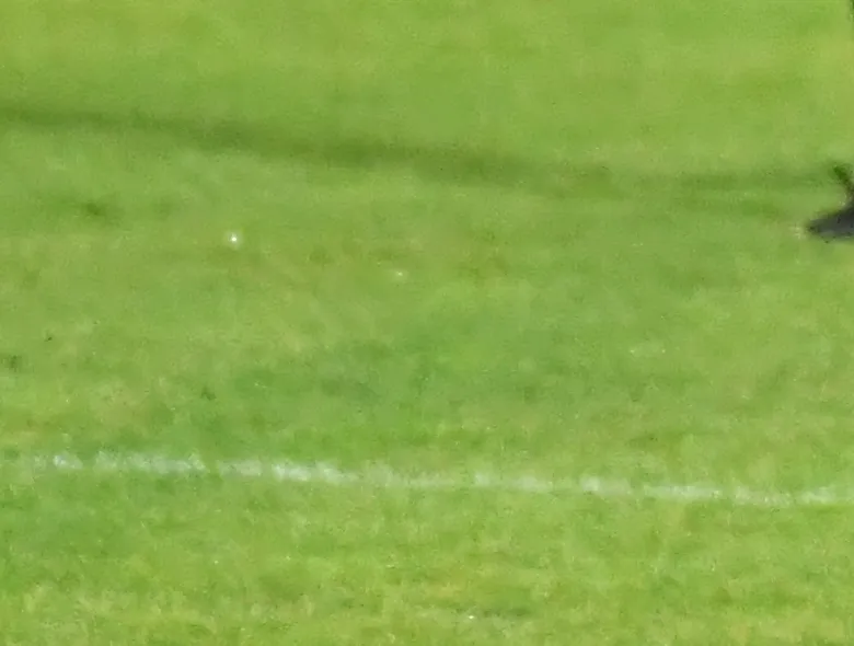 Trei puncte mari de la Petroșani. Energeticianul – “U” Cluj 0-2